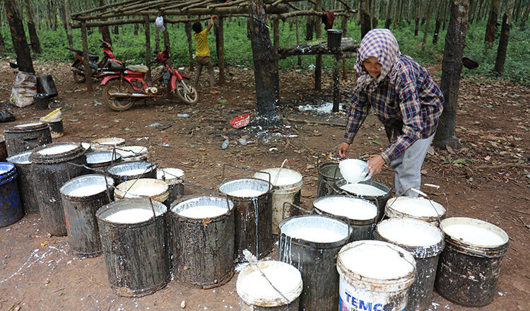 Cambodia earns over $106M from rubber exports in two months